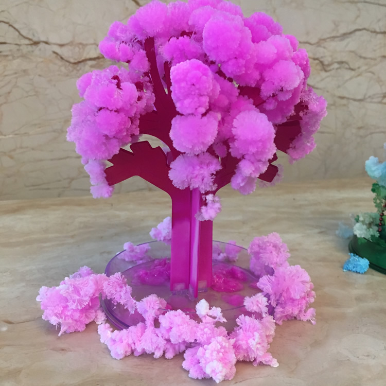 Sakura-árbol mágico de crecimi - Kids Education Learn Tv reseña y precio