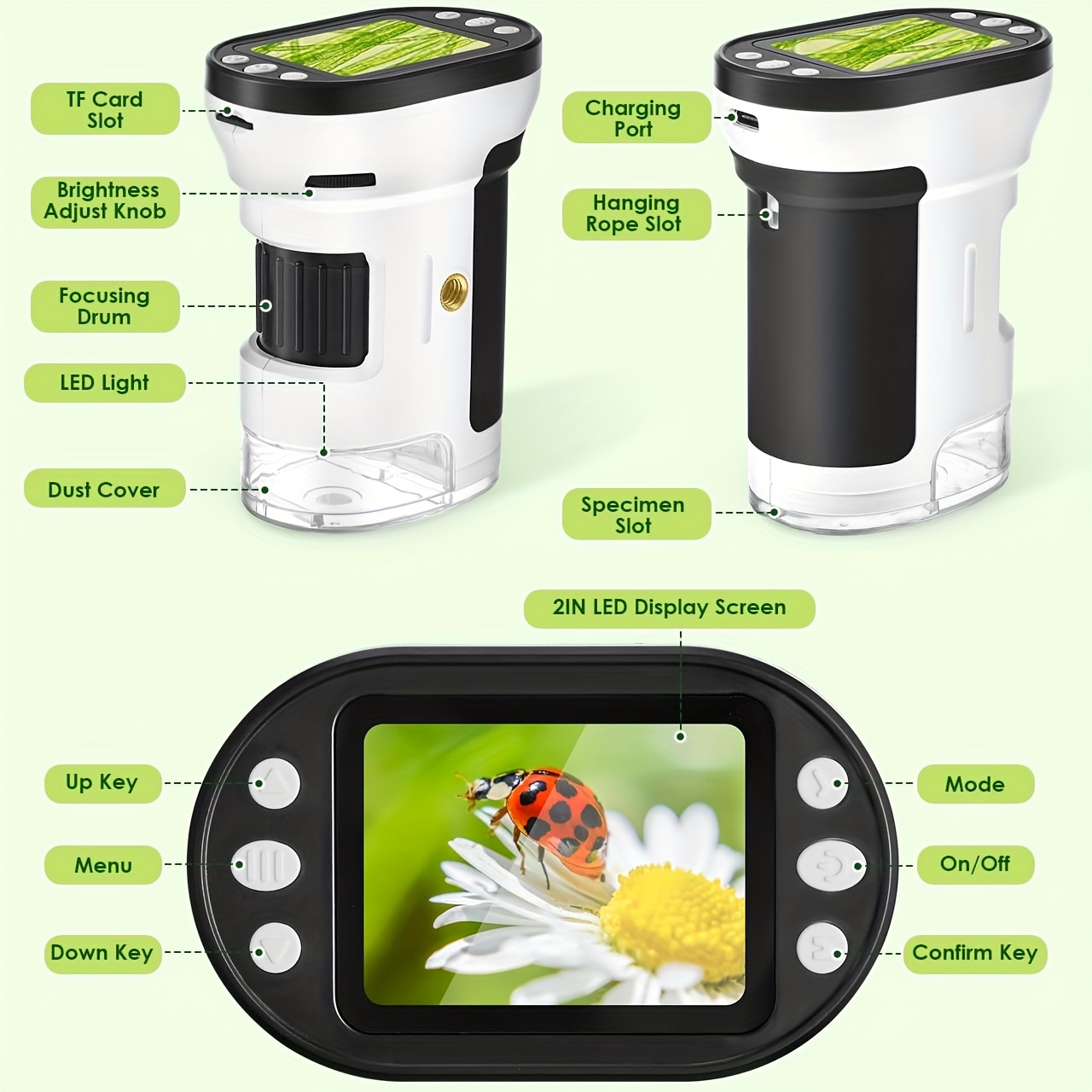 Microscopio para Niños, Kit Bi - Kids Educational Videos reseña y precio