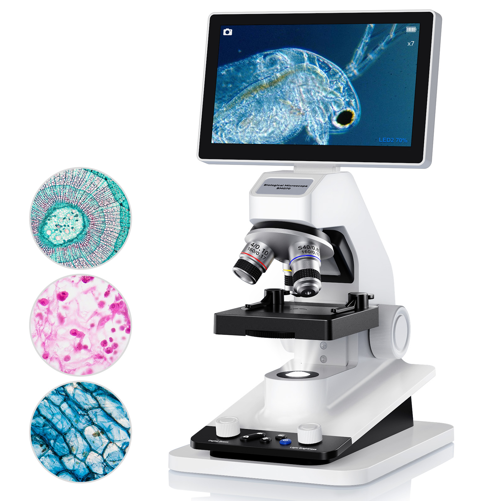Microscopio Digital de 7 Pulga - Education Kids Definition reseña y precio